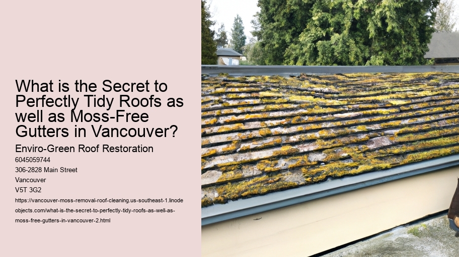 What is the Secret to Perfectly Tidy Roofs as well as Moss-Free Gutters in Vancouver?