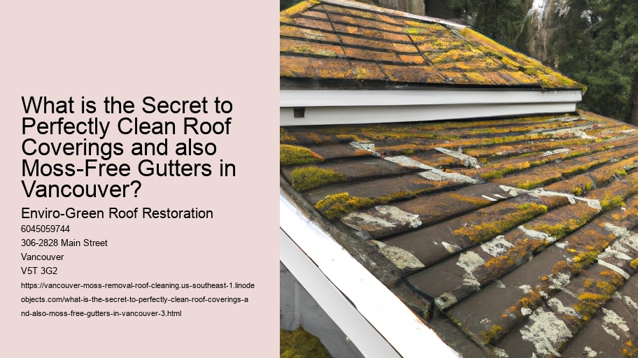 What is the Secret to Perfectly Clean Roof Coverings and also Moss-Free Gutters in Vancouver?