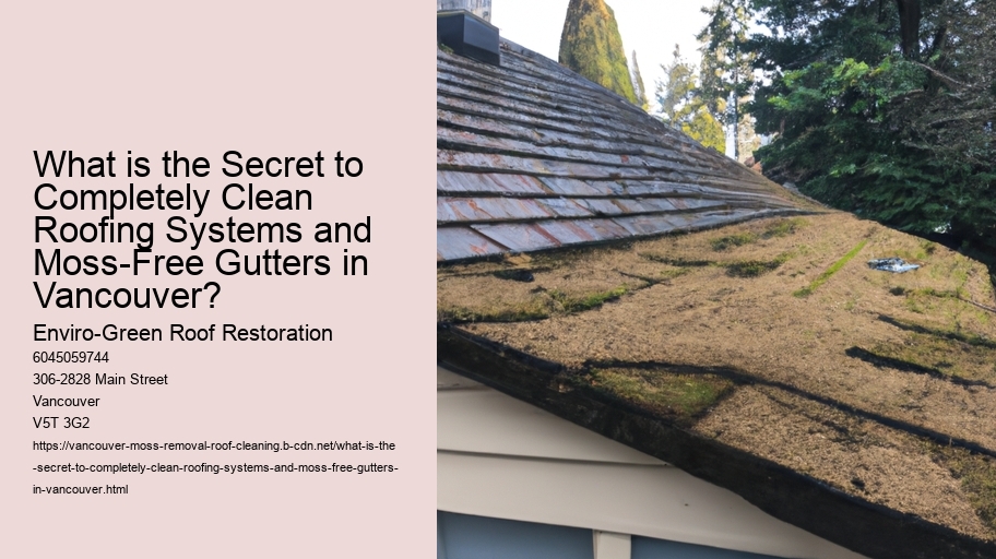 What is the Secret to Completely Clean Roofing Systems and Moss-Free Gutters in Vancouver?