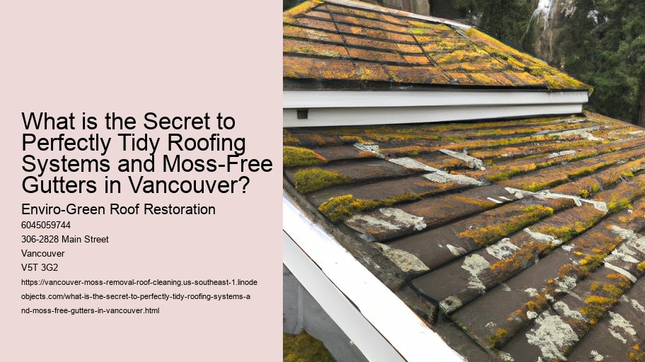What is the Secret to Perfectly Tidy Roofing Systems and Moss-Free Gutters in Vancouver?