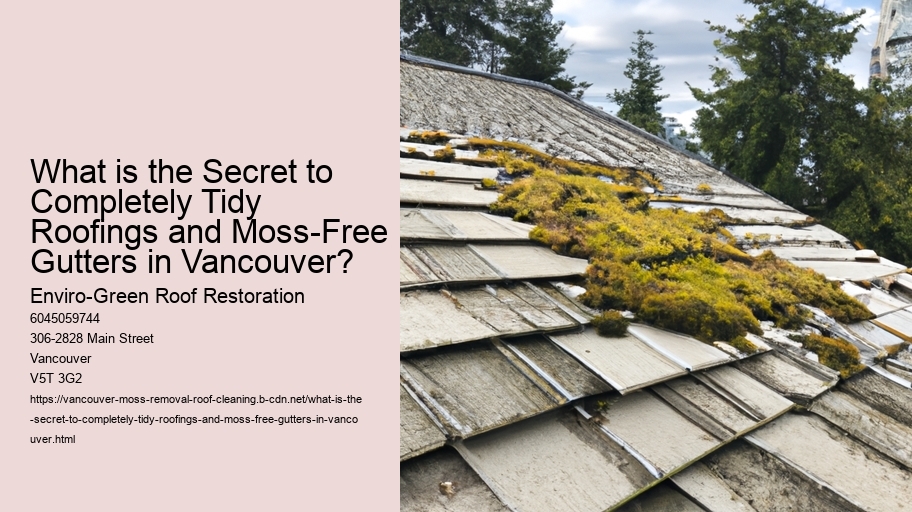 What is the Secret to Completely Tidy Roofings and Moss-Free Gutters in Vancouver?