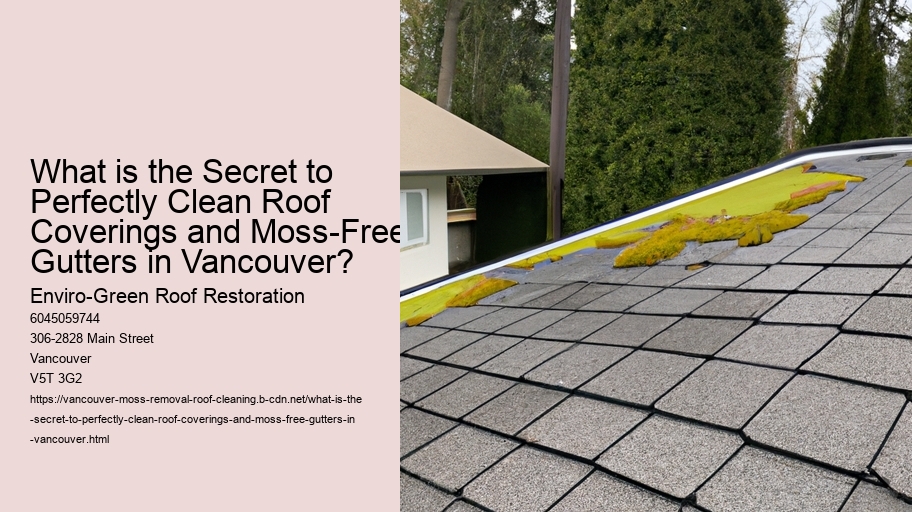 What is the Secret to Perfectly Clean Roof Coverings and Moss-Free Gutters in Vancouver?