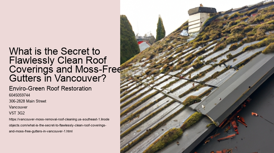 What is the Secret to Flawlessly Clean Roof Coverings and Moss-Free Gutters in Vancouver?