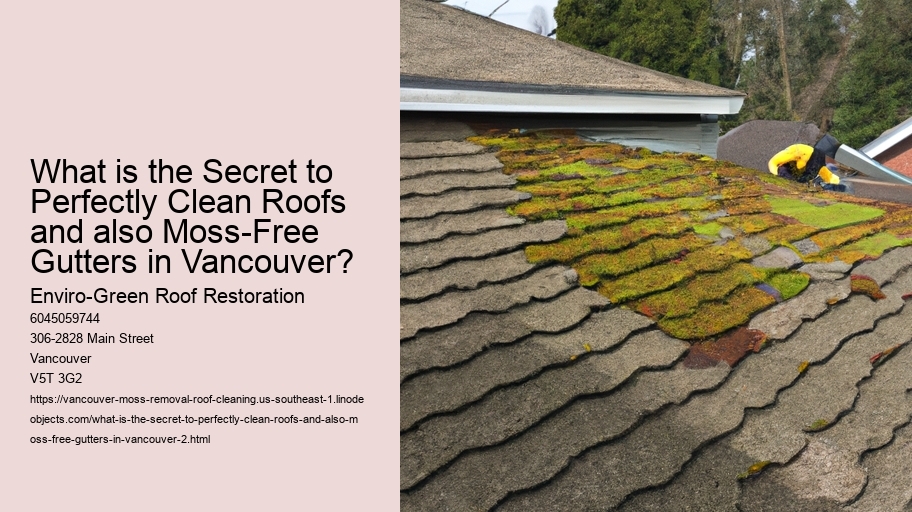 What is the Secret to Perfectly Clean Roofs and also Moss-Free Gutters in Vancouver?