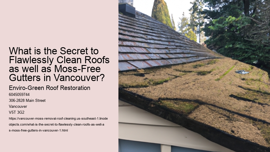 What is the Secret to Flawlessly Clean Roofs as well as Moss-Free Gutters in Vancouver?