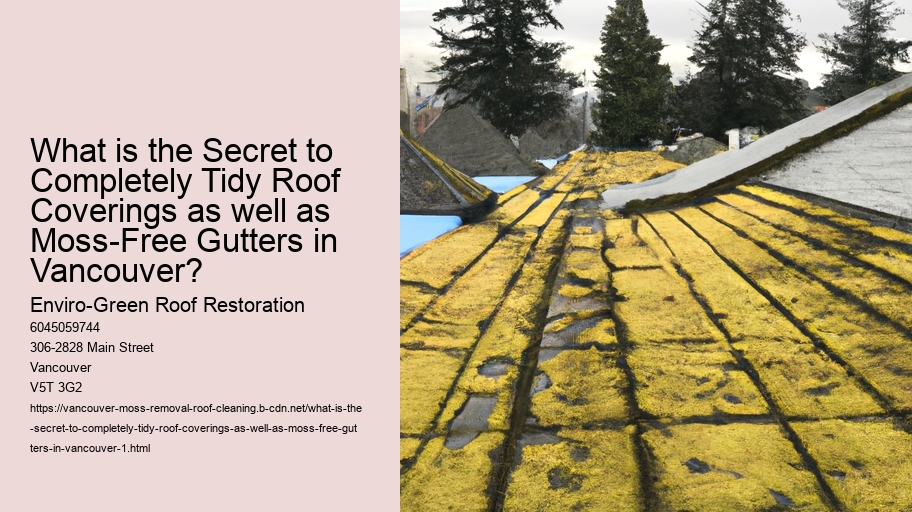 What is the Secret to Completely Tidy Roof Coverings as well as Moss-Free Gutters in Vancouver?