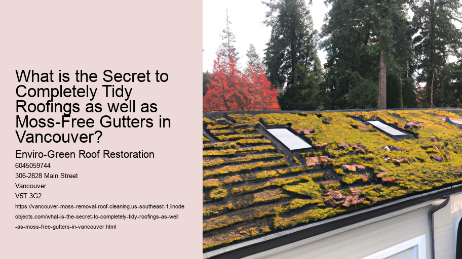 What is the Secret to Completely Tidy Roofings as well as Moss-Free Gutters in Vancouver?