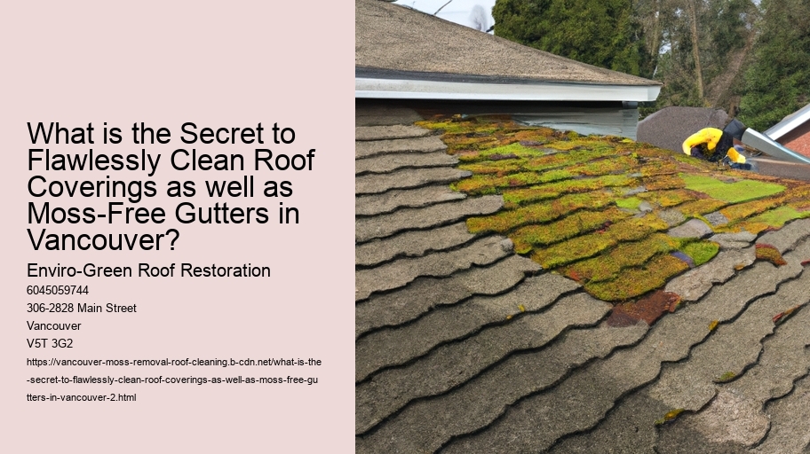 What is the Secret to Flawlessly Clean Roof Coverings as well as Moss-Free Gutters in Vancouver?