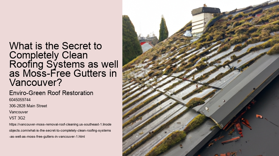 What is the Secret to Completely Clean Roofing Systems as well as Moss-Free Gutters in Vancouver?