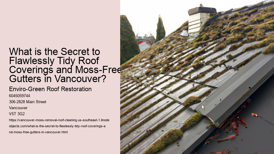 What is the Secret to Flawlessly Tidy Roof Coverings and Moss-Free Gutters in Vancouver?