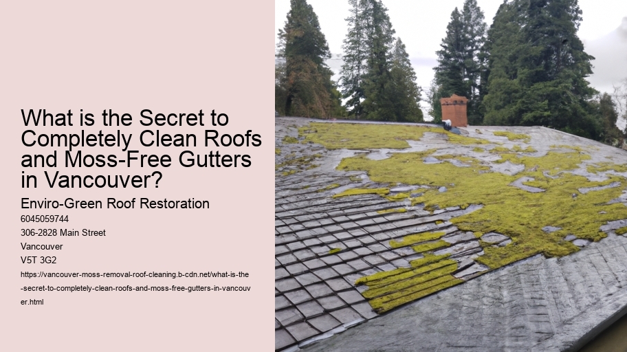 What is the Secret to Completely Clean Roofs and Moss-Free Gutters in Vancouver?