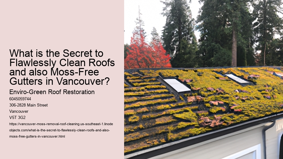 What is the Secret to Flawlessly Clean Roofs and also Moss-Free Gutters in Vancouver?