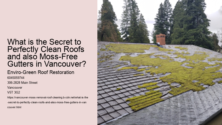 What is the Secret to Perfectly Clean Roofs and also Moss-Free Gutters in Vancouver?