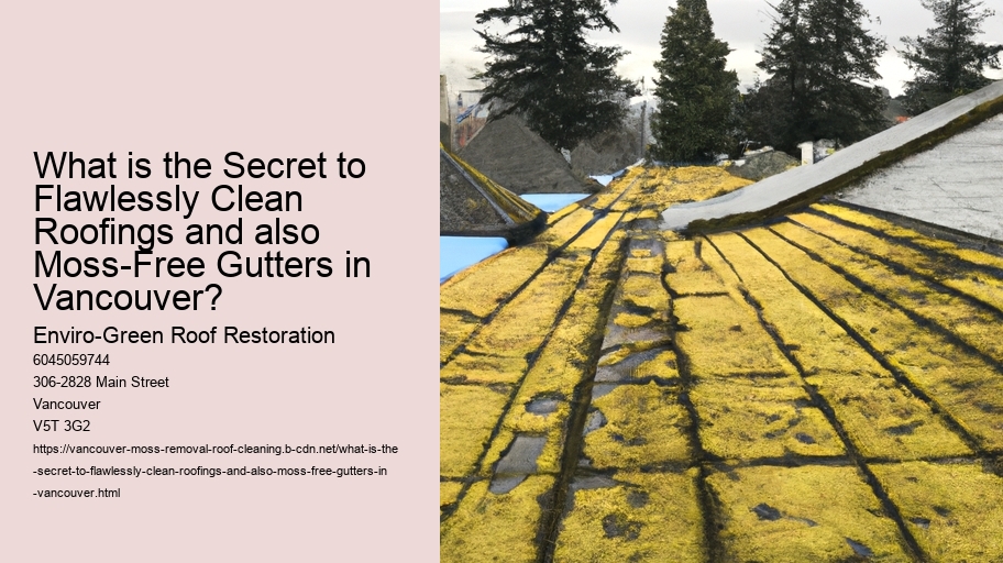 What is the Secret to Flawlessly Clean Roofings and also Moss-Free Gutters in Vancouver?