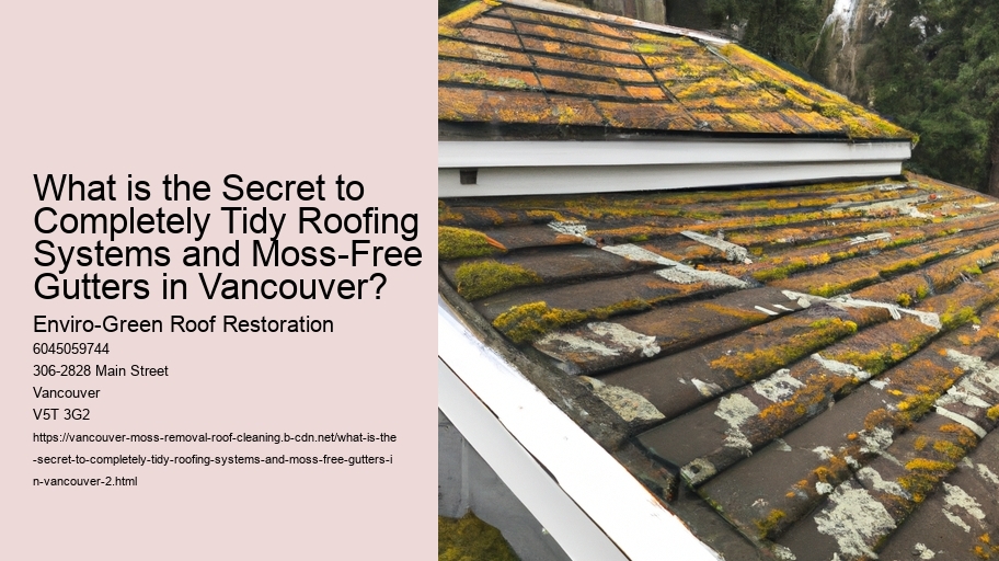 What is the Secret to Completely Tidy Roofing Systems and Moss-Free Gutters in Vancouver?